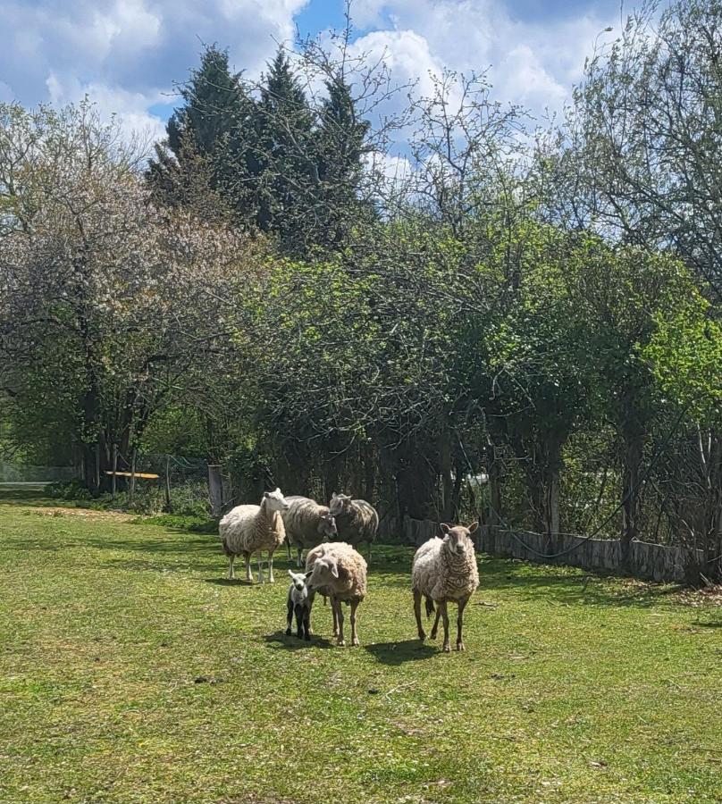 Gite Du Gardoir Boresse-et-Martron Buitenkant foto